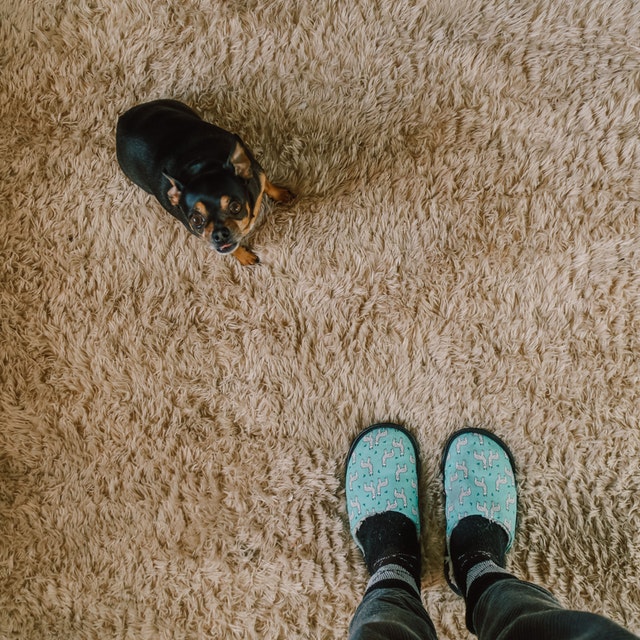 What Causes Brown Stains on Carpet