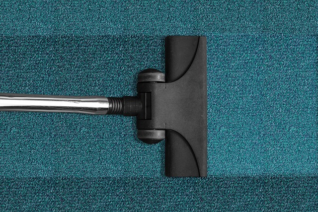 What is the Best Carpet Cleaning Solution