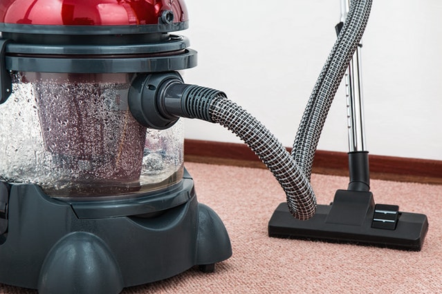 Will Steam Cleaning Carpet Kill Mold